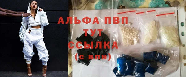 стаф Белокуриха