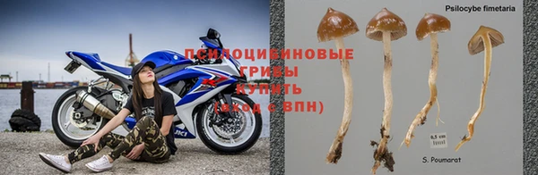 Альфа ПВП Белоозёрский