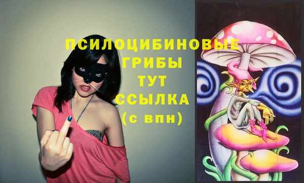 каннабис Беломорск