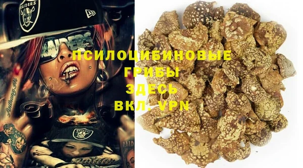 стаф Белокуриха