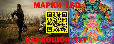 стаф Свободный