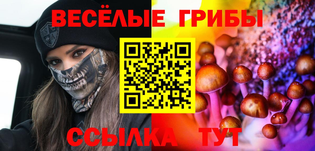 Галлюциногенные грибы Magic Shrooms Валуйки