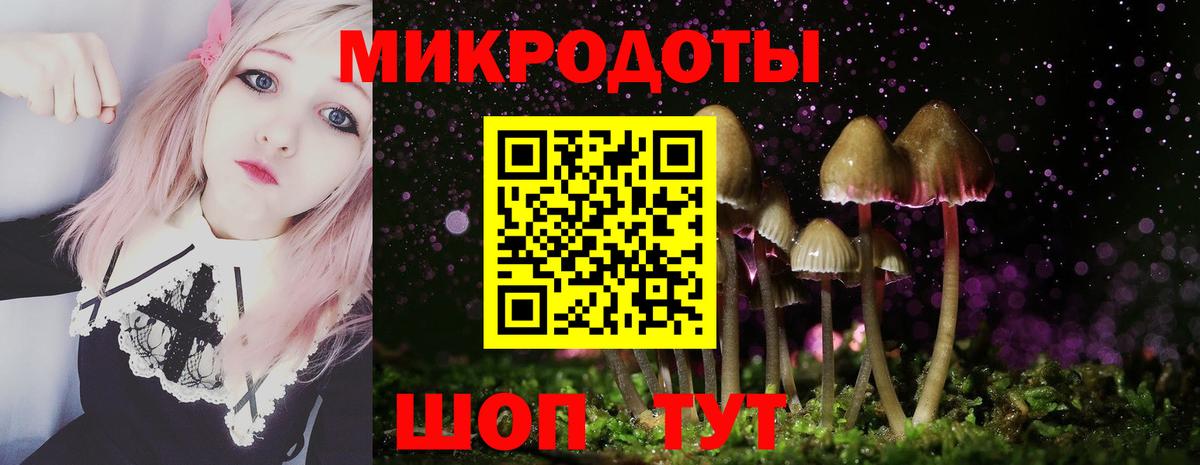 Валуйки  Галлюциногенные грибы прущие грибы  Вход с VPN  Галлюциногенные грибы ЛСД 